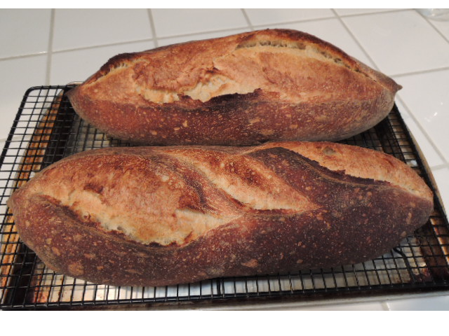 pain-au-levain-the-fresh-loaf